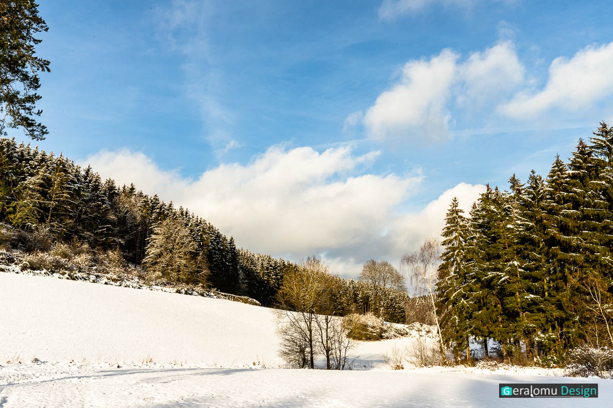 Landschaft: Schneebedeckte Wiese zwischen Tannenwald unter blauem Himmel