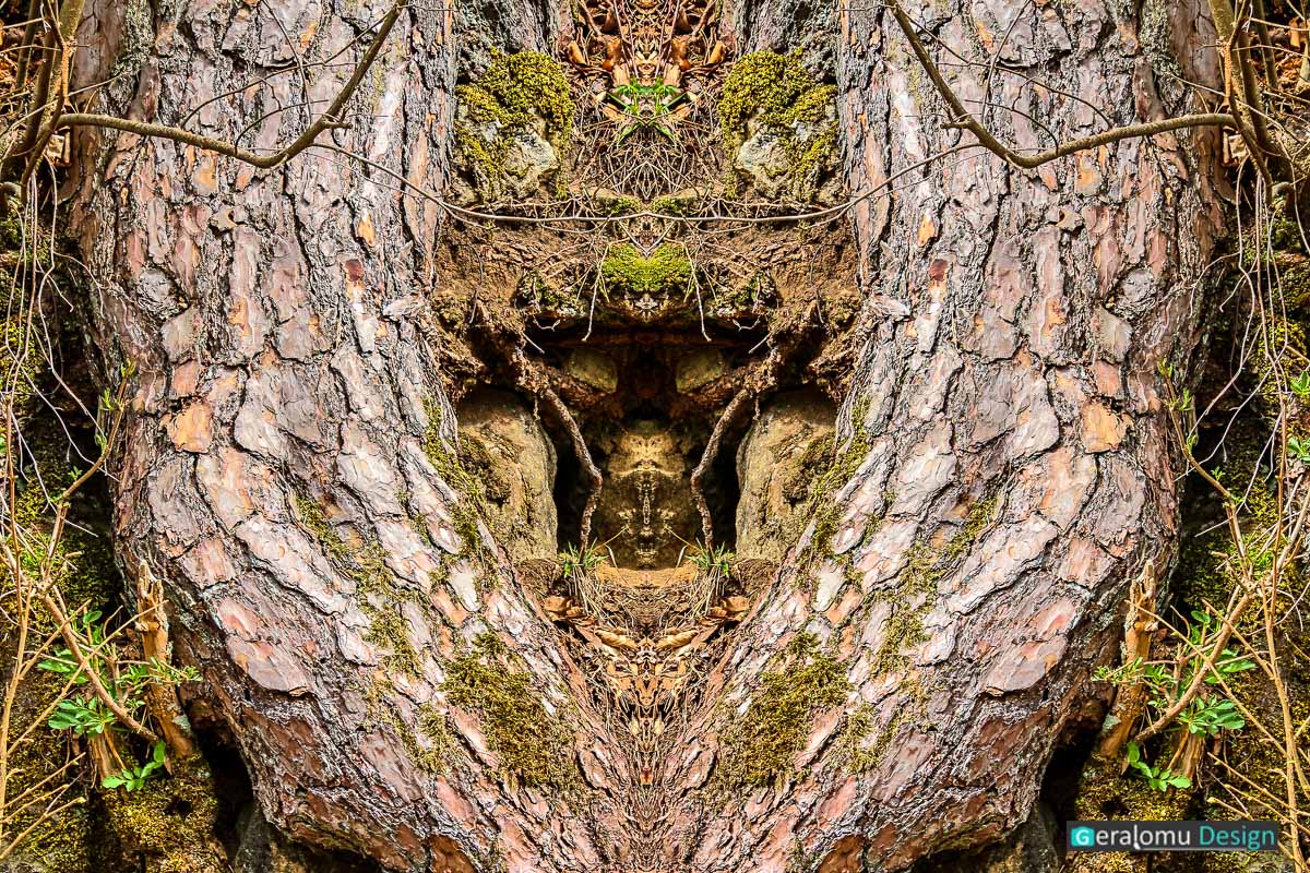 Kreative Fotografie: Gespiegelter Baumstamm vor kleiner Höhle in Wurzelnähe offenbart Waldgeister