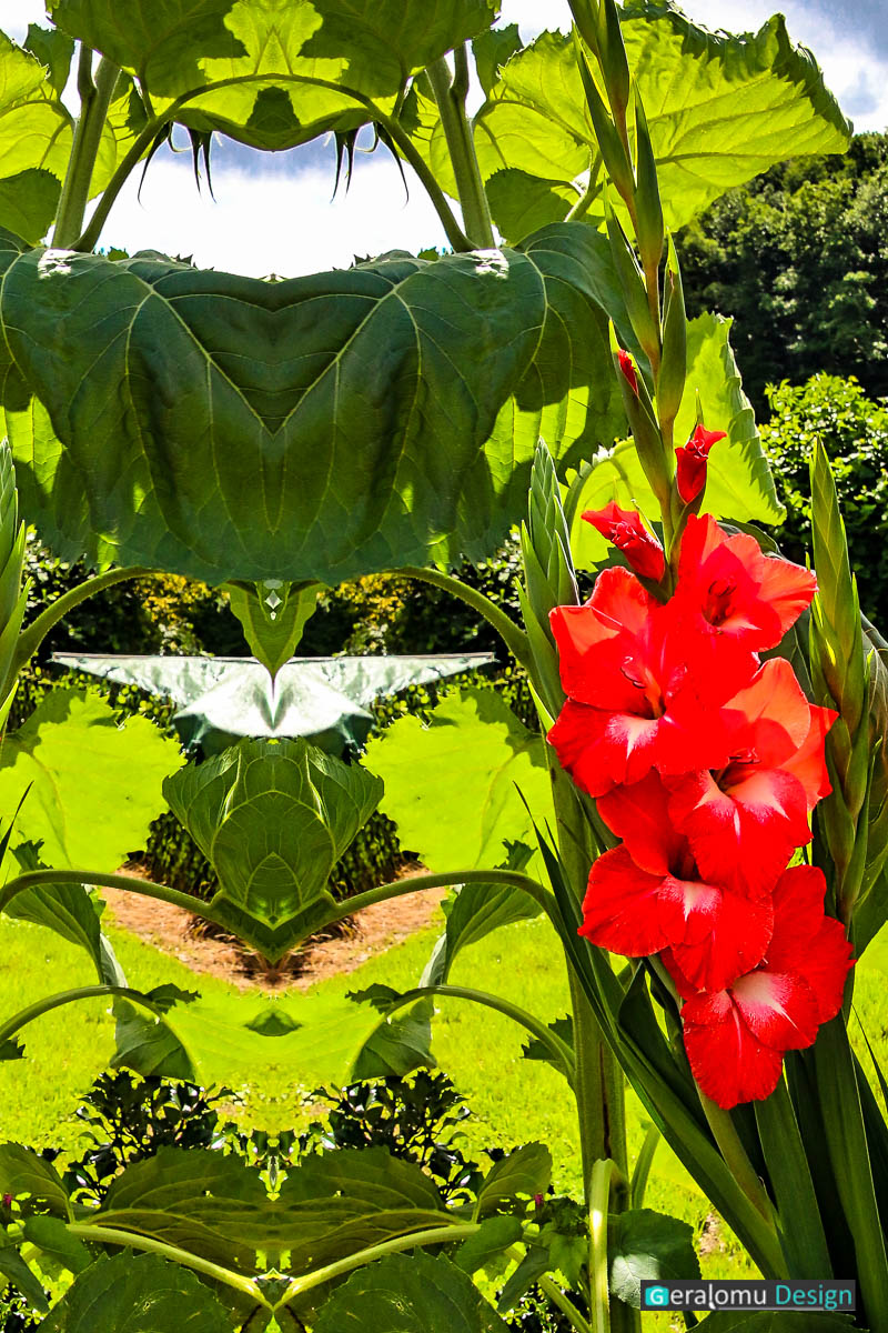 Kreative Fotografie:durch horizontale Spiegelung einer roten Rose vor grünem Hintergrund offenbaren sich kleine Gartengeister.