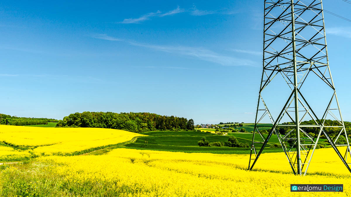 Landschaft: Gelbe Rapsfelder mit Hochspannungsmast beim Ort Aach im Kreis Trier-Saarburg