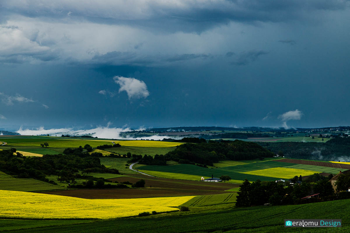 Landschaft: Gelbe Rapsfelder beim Ort Möhn im Kreis Trier-Saarburg unmittelbar nach einem Gewitter