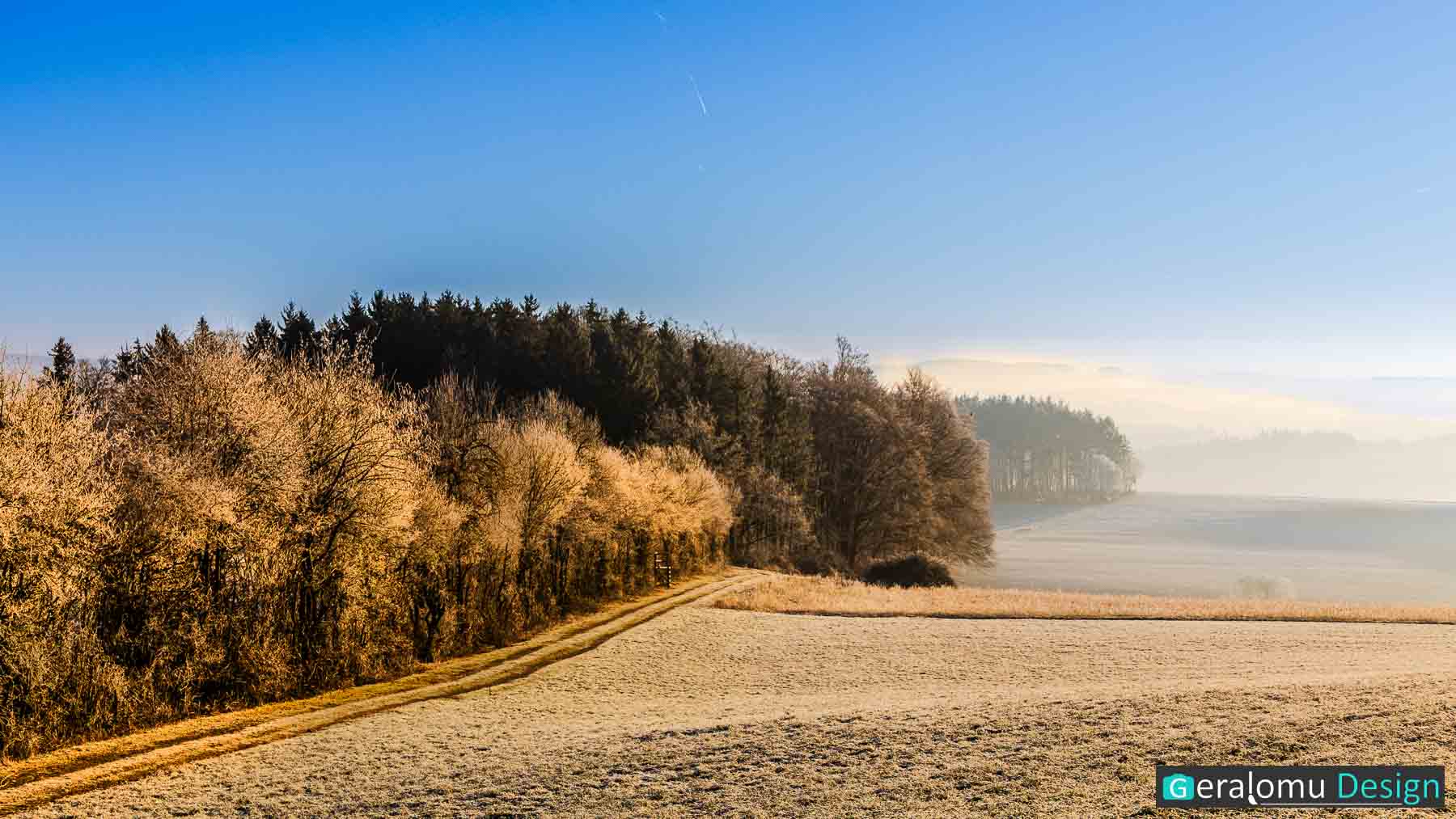 Dieses Landschaftsfoto zeigt eine Winterlandschaft bei dem Ort Ellwerath im Landkreis Bitburg-Prüm: Schönheit, die aus der Kälte kommt.
